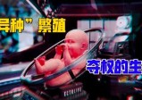 流水线婴儿工厂下的“夺权”计划，2030年将诞生无“人”统治国？